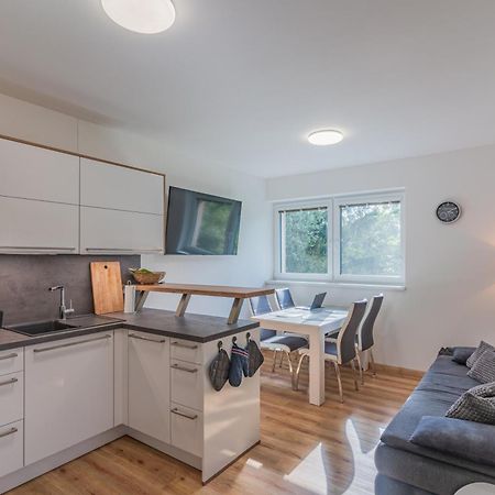 Apartman Черна-в-Пошумави Экстерьер фото